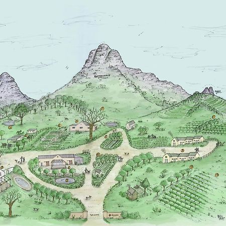 Rozendal Stay Stellenbosch Zewnętrze zdjęcie