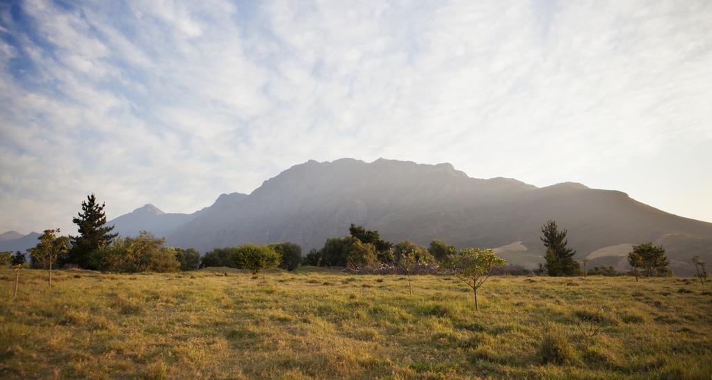 Rozendal Stay Stellenbosch Zewnętrze zdjęcie