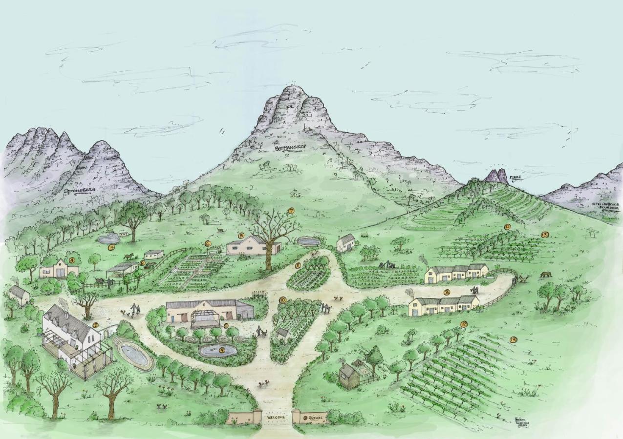 Rozendal Stay Stellenbosch Zewnętrze zdjęcie