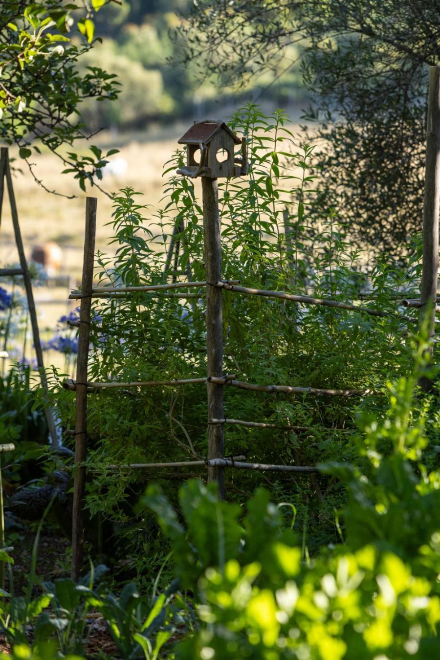 Rozendal Stay Stellenbosch Zewnętrze zdjęcie