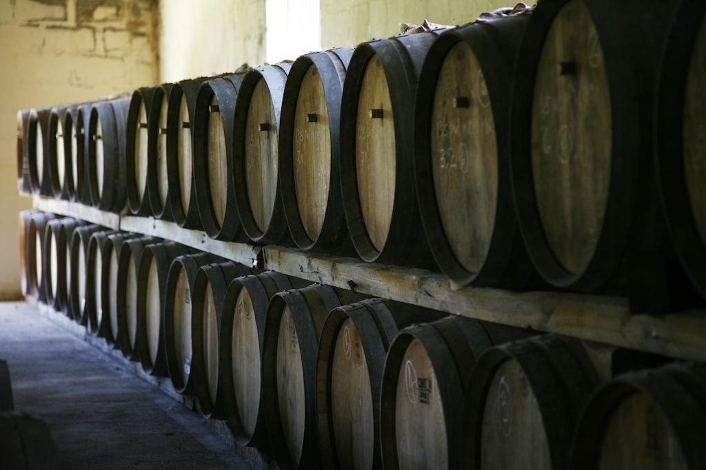 Rozendal Stay Stellenbosch Zewnętrze zdjęcie