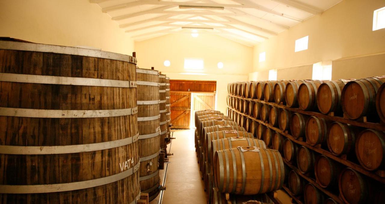 Rozendal Stay Stellenbosch Zewnętrze zdjęcie